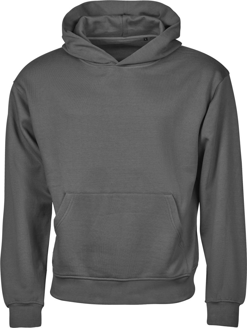 Levně Mikina s kapucí z těžké bavlny "Urban Loose Fit" - powder grey