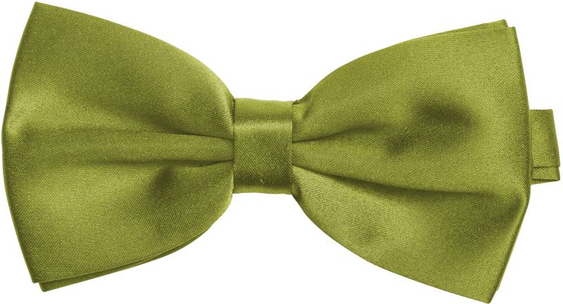 Levně Motýlek - green
