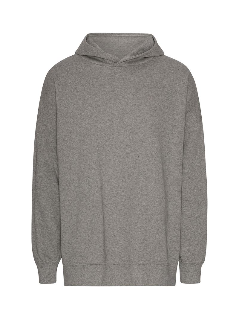 Mikina s kapucí z těžké bio IC bavlny "Tiger" - sport grey