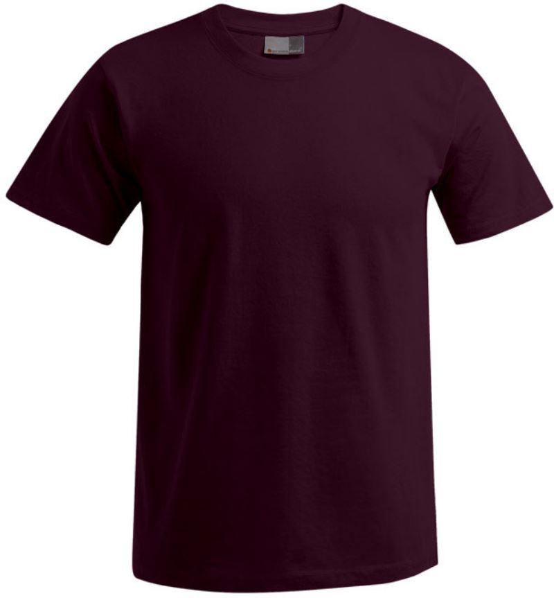 Levně Pánské tričko "Premium" - burgundy