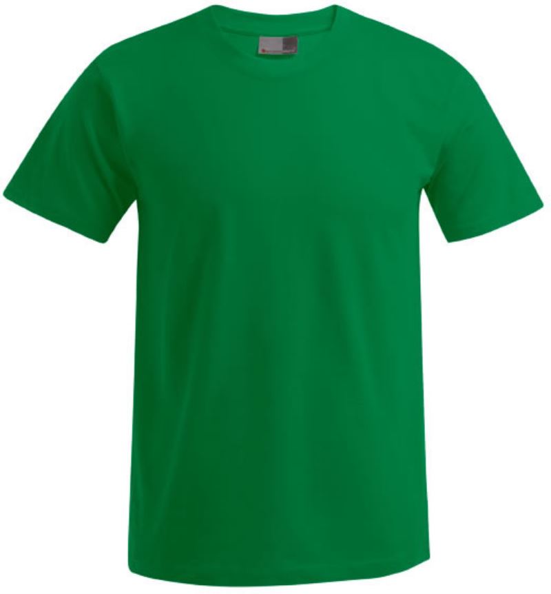 Levně Pánské tričko "Premium" - kelly green