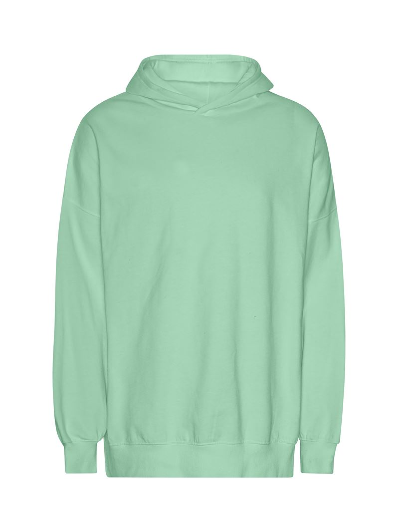 Levně Mikina s kapucí z těžké bio IC bavlny "Tiger" - dusty mint