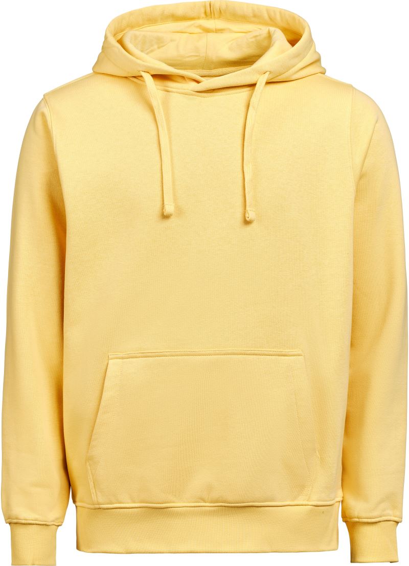 Levně Unisex mikina s kapucí - ray