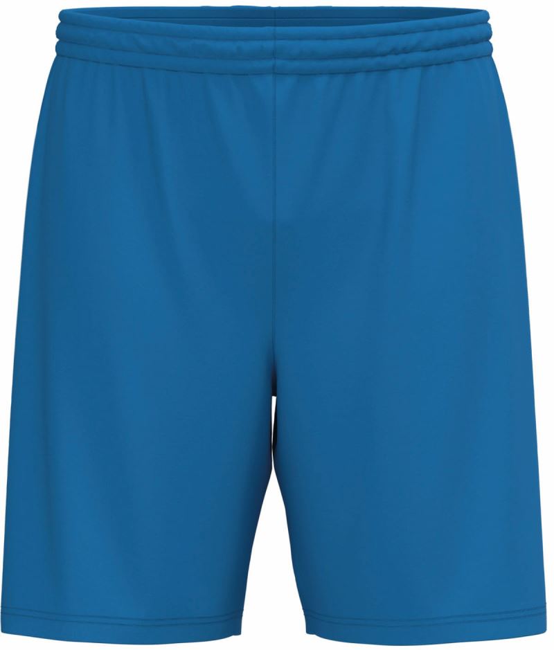 Levně Pánské sportovní kraťasy - sporty royal blue